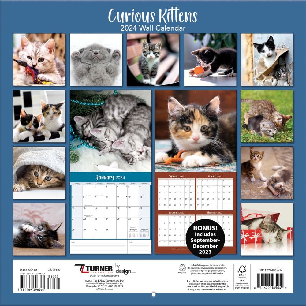 Curious Kittens 2024 Wall Calendar Alternate Image 1