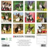 image Just Boston Terriers 2025 Wall Calendar First Alternate Image width=&quot;1000&quot; height=&quot;1000&quot;