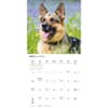 image Just German Shepherds 2026 Wall Calendar Third Alternate Image