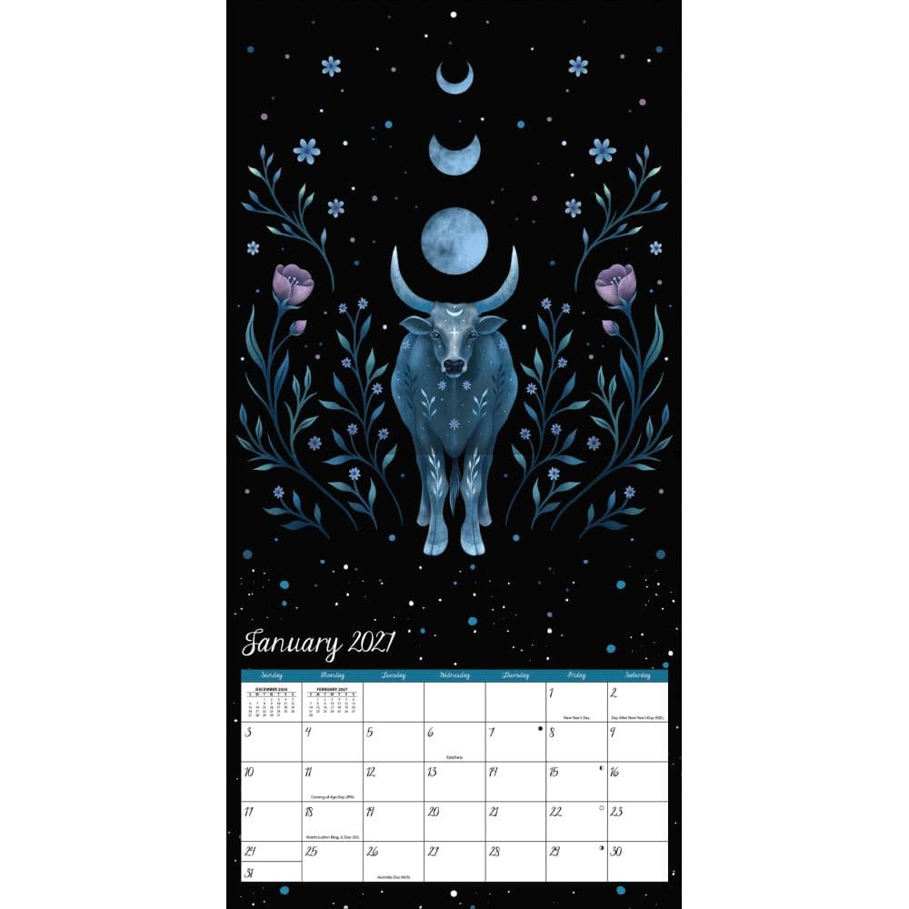 Moonlight Magic 2027 Wall Calendar by Lea Yunk Third Alternate Image