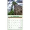 image Redwood Forest 2026 Wall Calendar Fourth Alternate Image