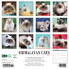 image Himalayan Cats 2025 Wall Calendar First Alternate Image width=&quot;1000&quot; height=&quot;1000&quot;