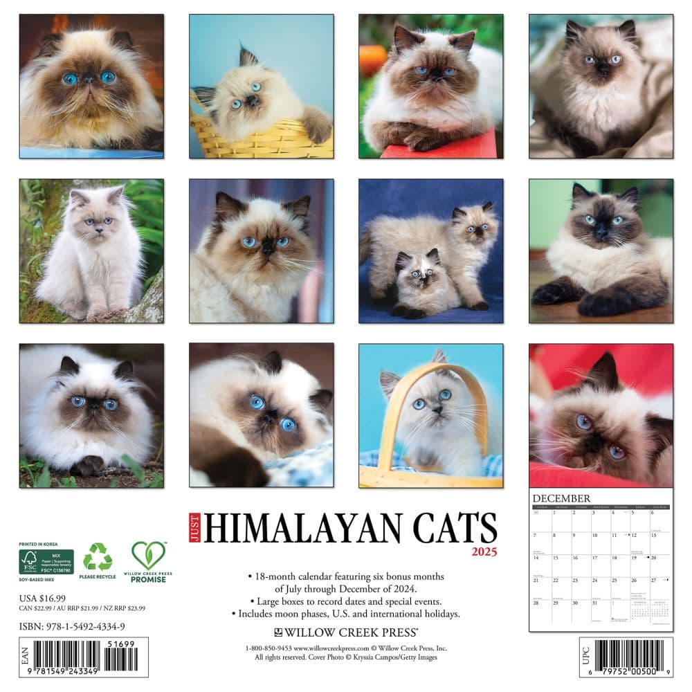 Himalayan Cats 2025 Wall Calendar First Alternate Image width=&quot;1000&quot; height=&quot;1000&quot;