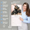 image Wirehaired Dachshund 2027 Wall Calendar