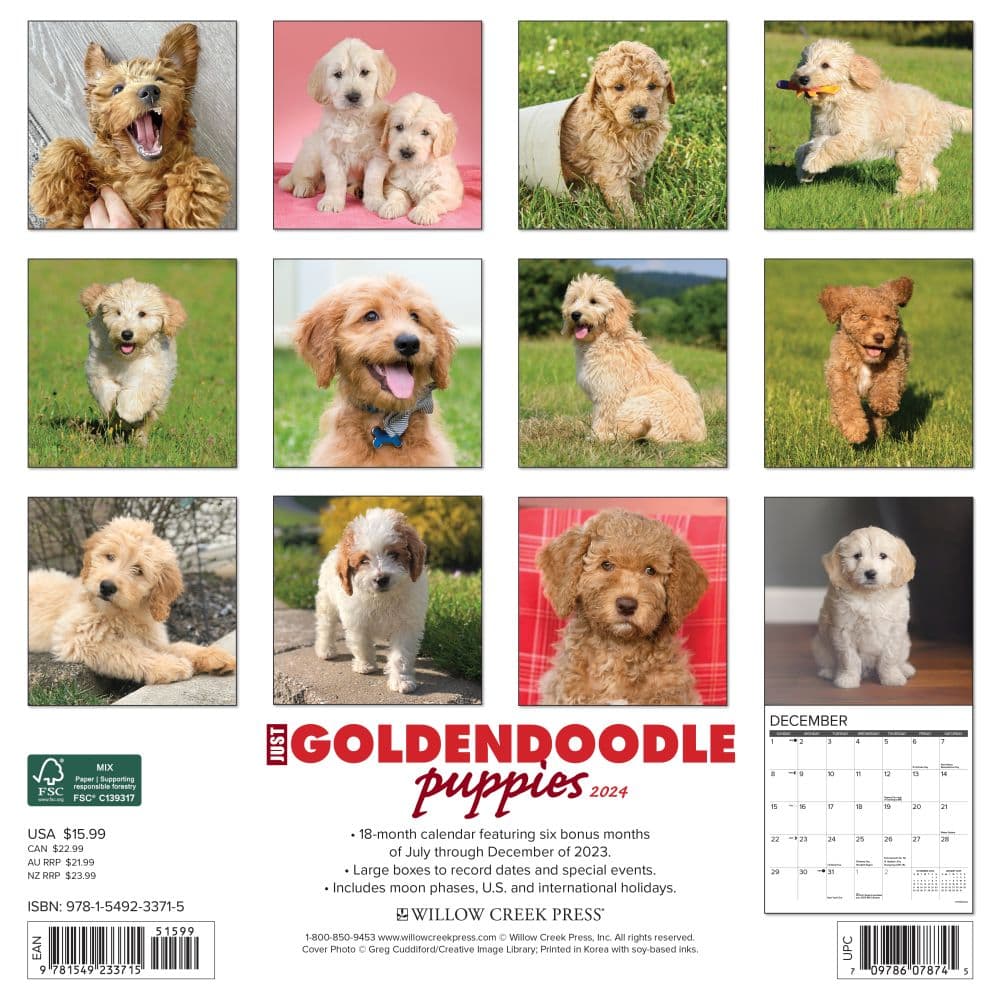 Just Goldendoodle Puppies 2024 Wall Calendar