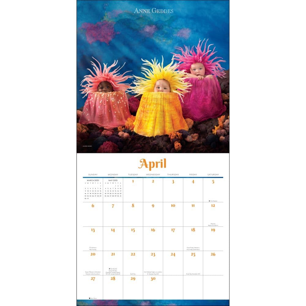 Anne Geddes 2025 Wall Calendar First Alternate Image width=&quot;1000&quot; height=&quot;1000&quot;