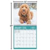 image Doodle Dogs Photo 2026 Wall Calendar