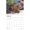 image Pit Bull Terriers Deluxe 2025 Wall Calendar