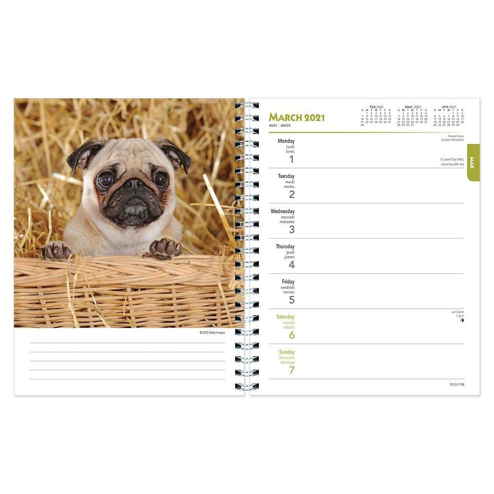 Featured image of post Pug Planner 2021