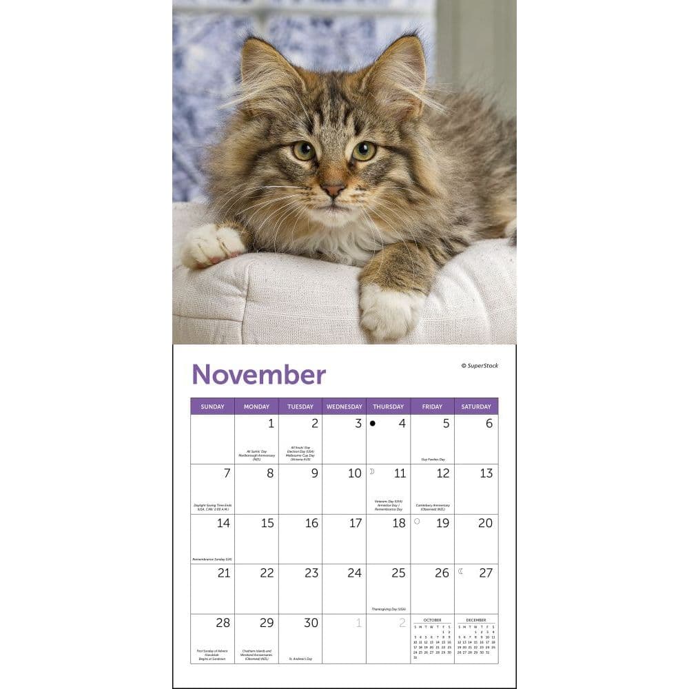 cats-mini-wall-calendar-calendars