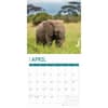 image Baby Elephants 2025 Wall Calendar Second Alternate Image width="1000" height="1000"