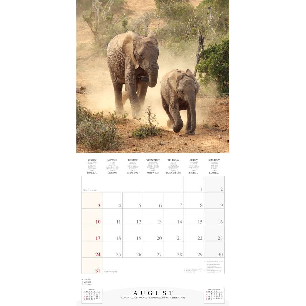 Elephant Families 2025 Wall Calendar Third Alternate Image width="1000" height="1000"