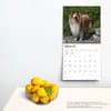 image Collies 2024 Wall Calendar Third Alternate Image width=&quot;1000&quot; height=&quot;1000&quot;
