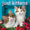 image Just Kittens 2025 Wall Calendar  Main Image