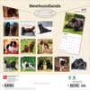image Newfoundlands 2027 Wall Calendar First Alternate Image