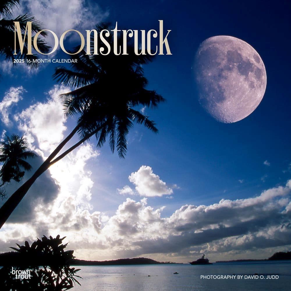 Moons 2025 Wall Calendar - Calendars.com