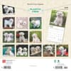 image Bichon Frise Puppies 2025 Wall Calendar First Alternate Image width=&quot;1000&quot; height=&quot;1000&quot;