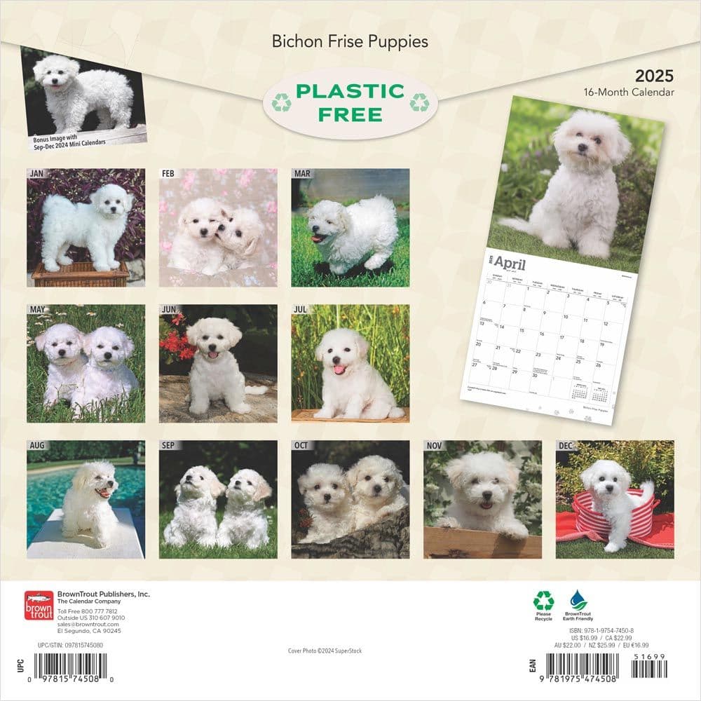 Bichon Frise Puppies 2025 Wall Calendar First Alternate Image width=&quot;1000&quot; height=&quot;1000&quot;