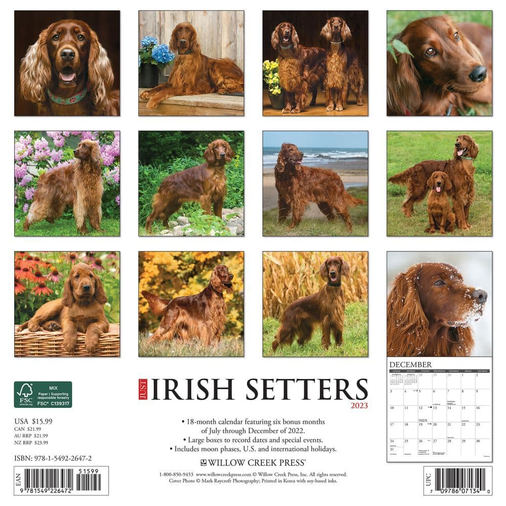 Irish Setters 2023 Wall Calendar - Calendars.com