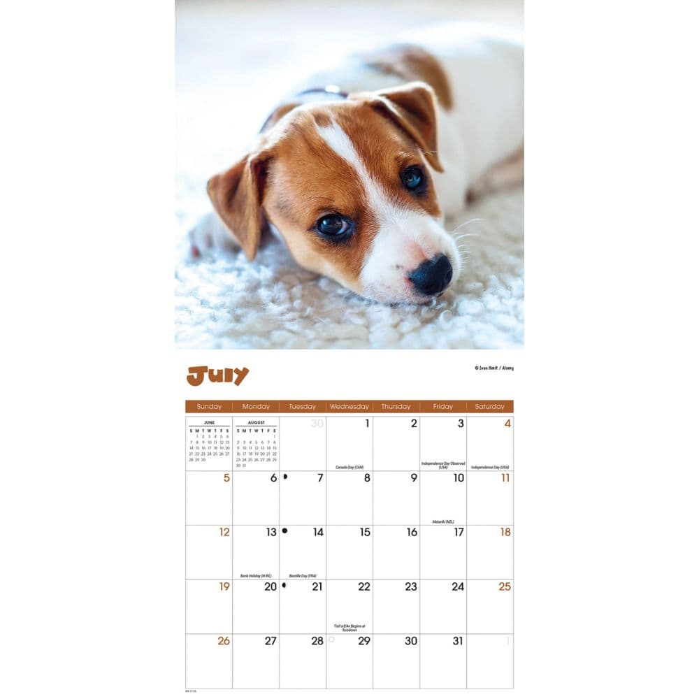 Puppies 2026 Mini Wall Calendar Third Alternate Image