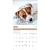 image Puppies 2026 Mini Wall Calendar Third Alternate Image