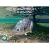 image Saltwater Flyfishing 2025 Wall Calendar Main Image