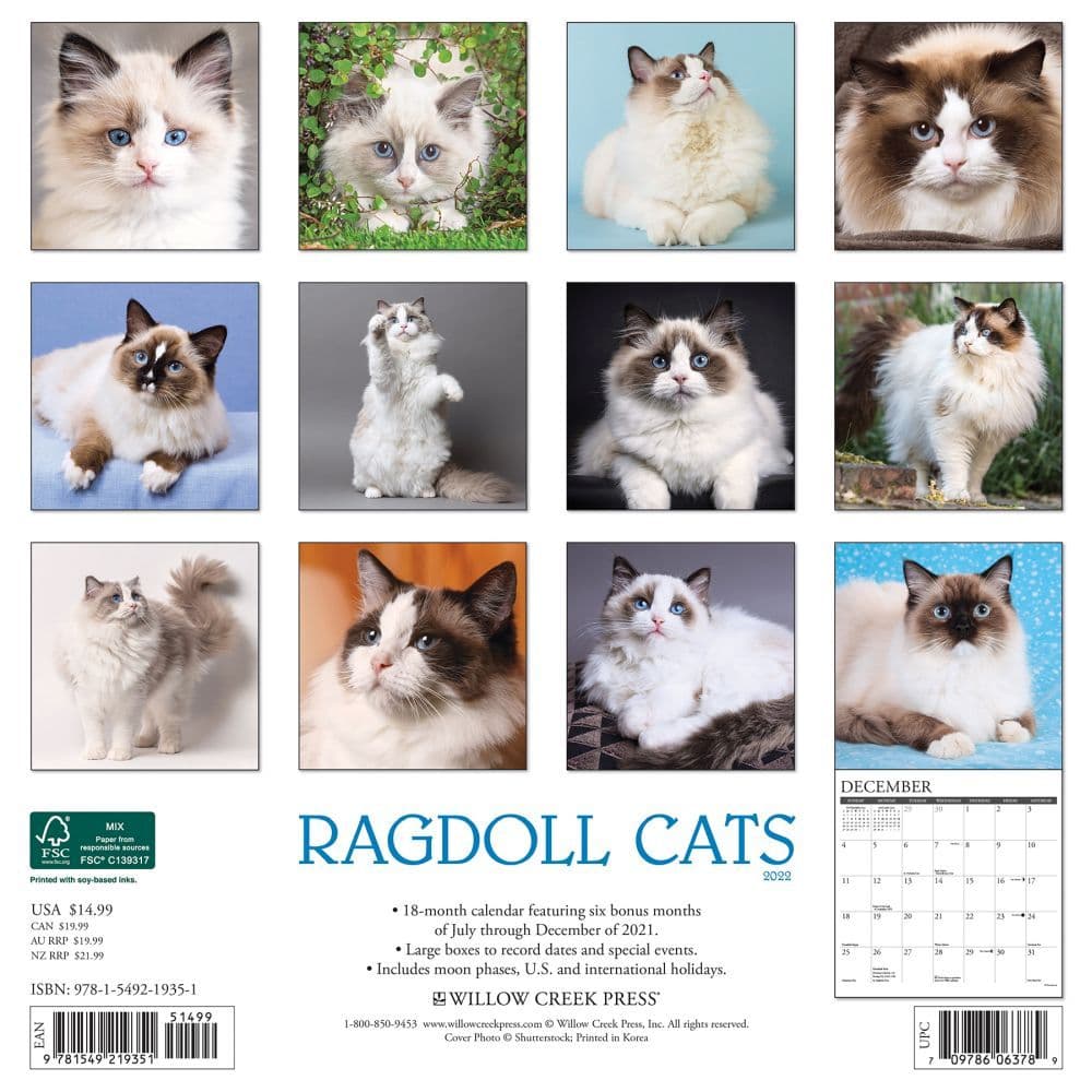 Cats Ragdoll 2022 Wall Calendar - Calendars.com