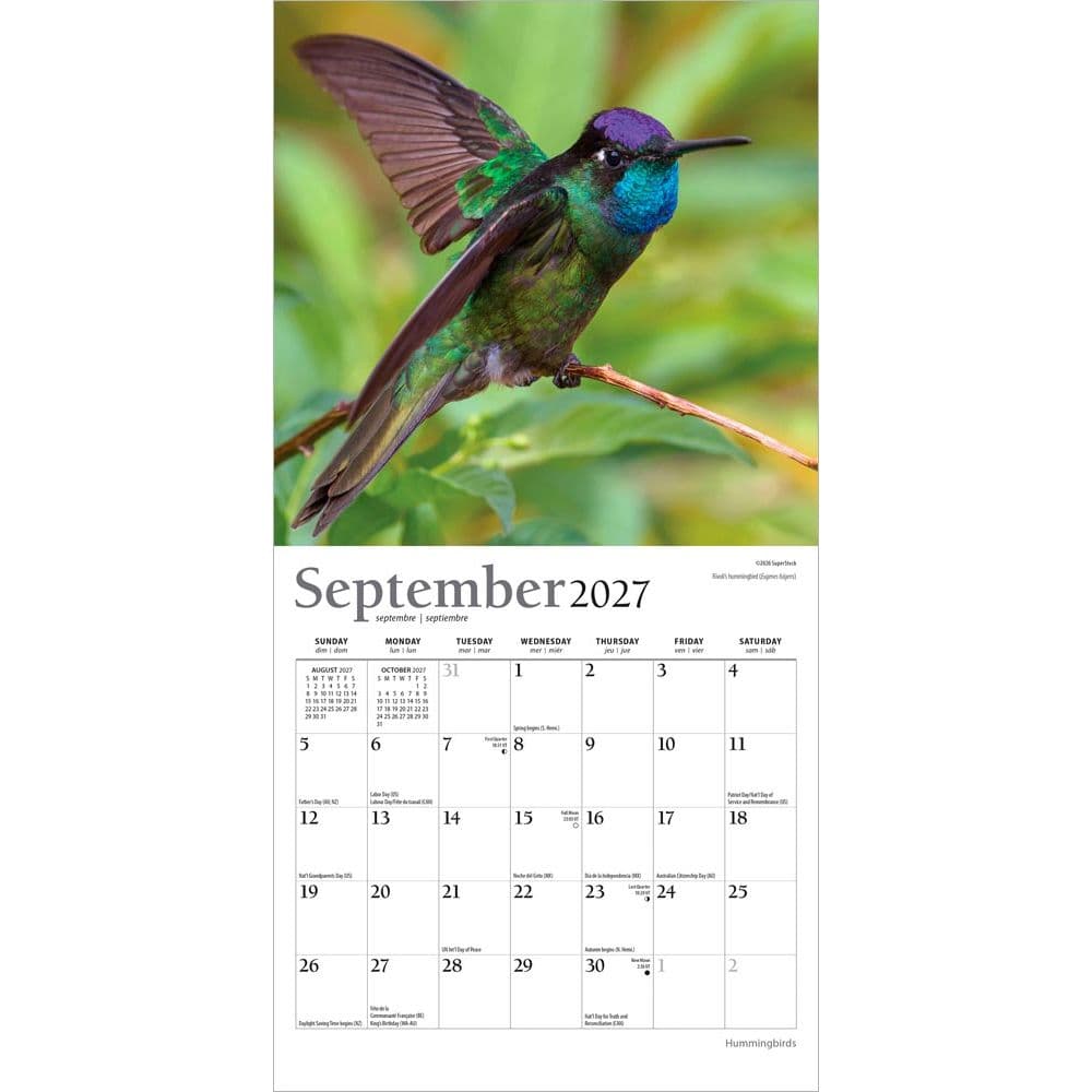 Hummingbirds Plato 2027 Mini Wall Calendar Third Alternate Image