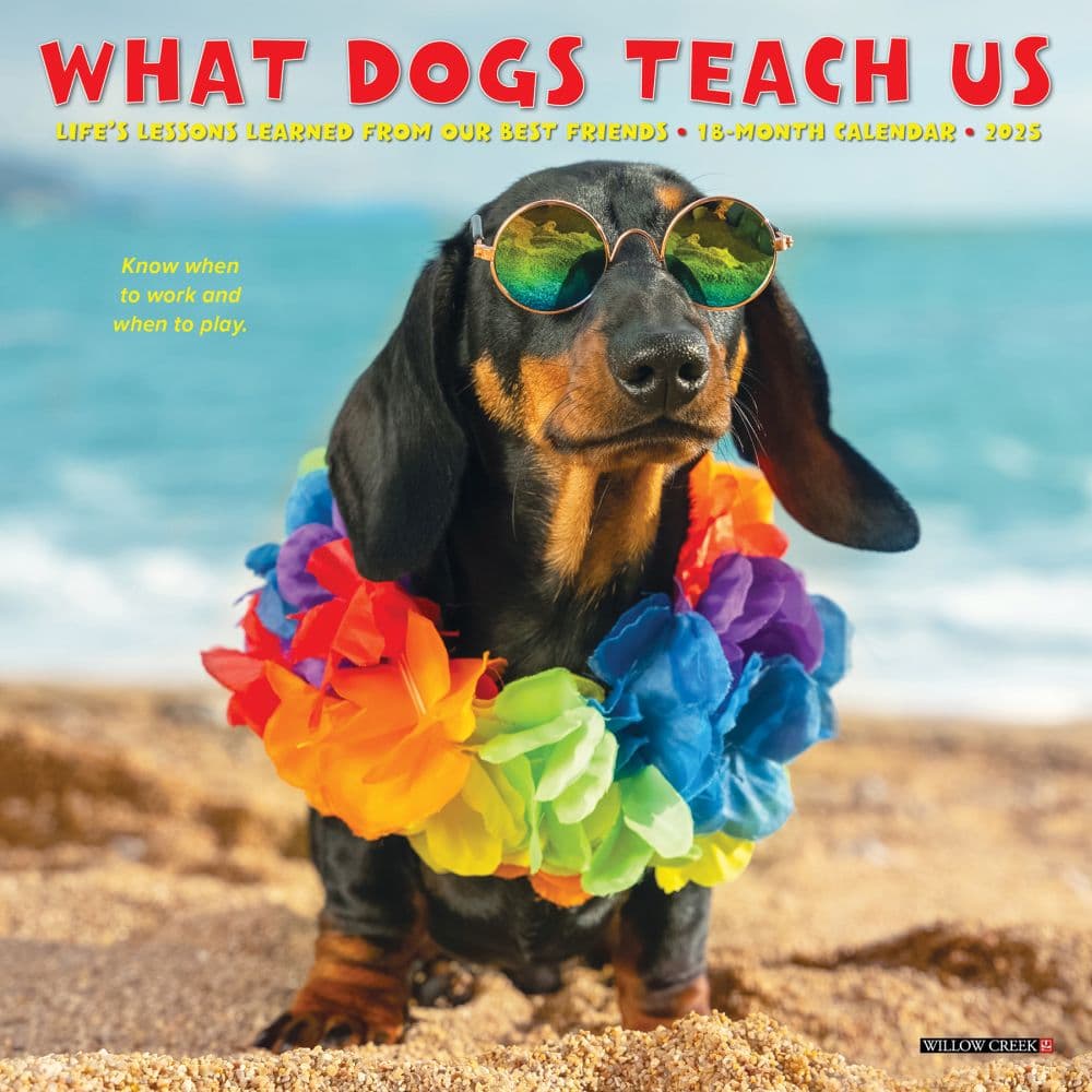 What Dogs Teach Us 2025 Mini Wall Calendar