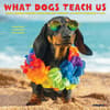 image What Dogs Teach Us 2025 Mini Wall Calendar Main Image