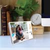 image Crusoe the Celebrity Dachshund 2025 Desk Calendar on a  desk