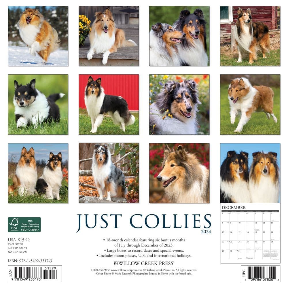 Collies 2024 Wall Calendar