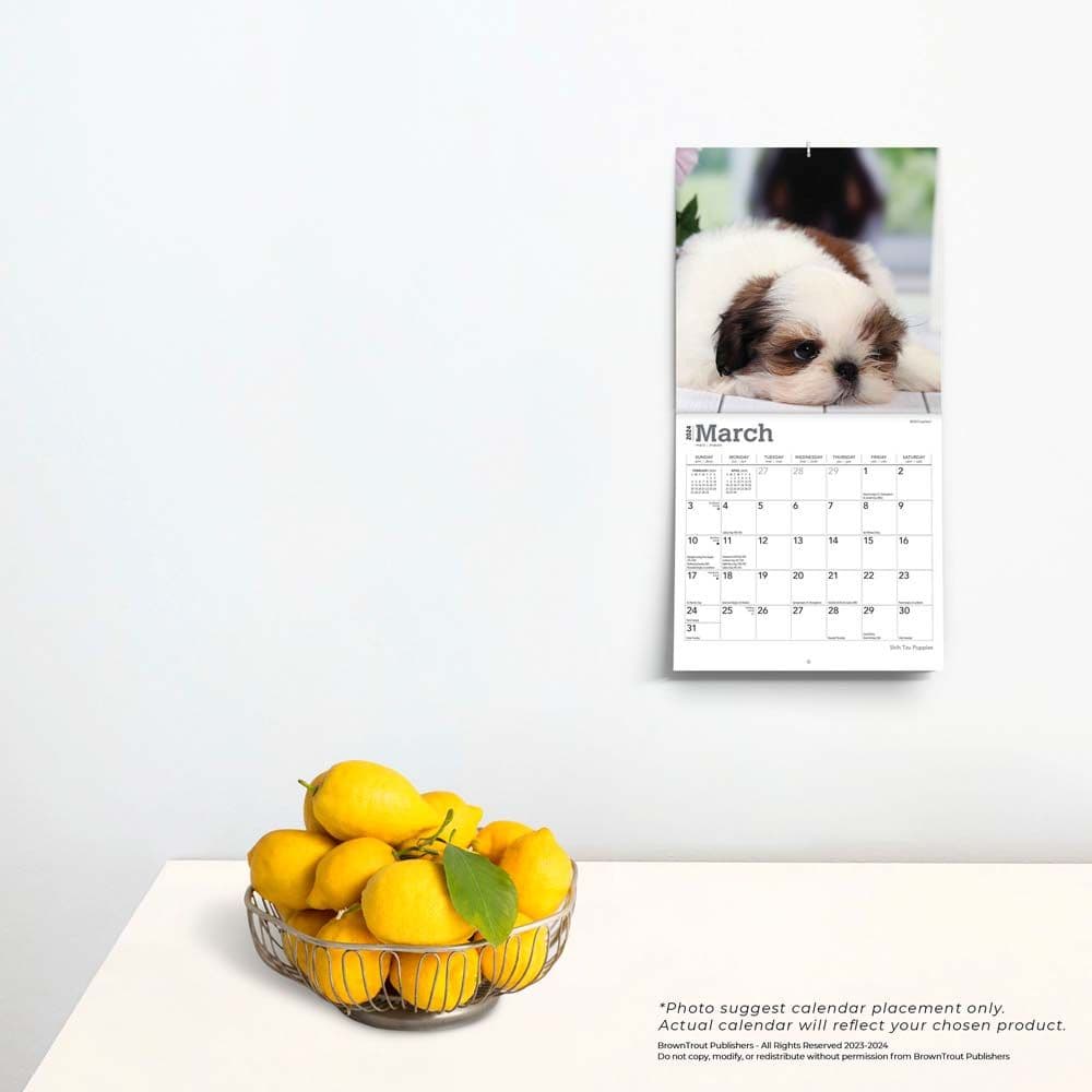 Shih Tzu Puppies 2024 Mini Wall Calendar