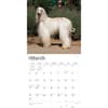 image Afghans 2024 Wall Calendar Second Alternate Image width=&quot;1000&quot; height=&quot;1000&quot;