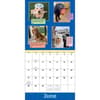 image We Rate Dogs 2026 Wall Calendar Second Alternate Image