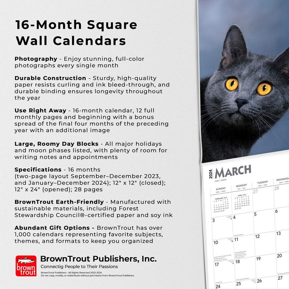 Cat Lovers 2024 Wall Calendar Alternate Image 4
