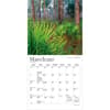 image National Parks Foil 2027 Mini Wall Calendar Second Alternate Image