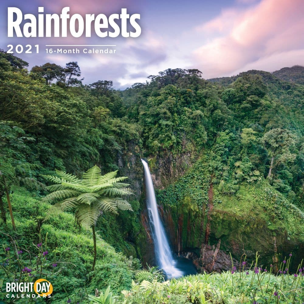 Rainforests Wall Calendar