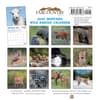 image Montana Wild Babies 2027 Mini Wall Calendar First Alternate Image