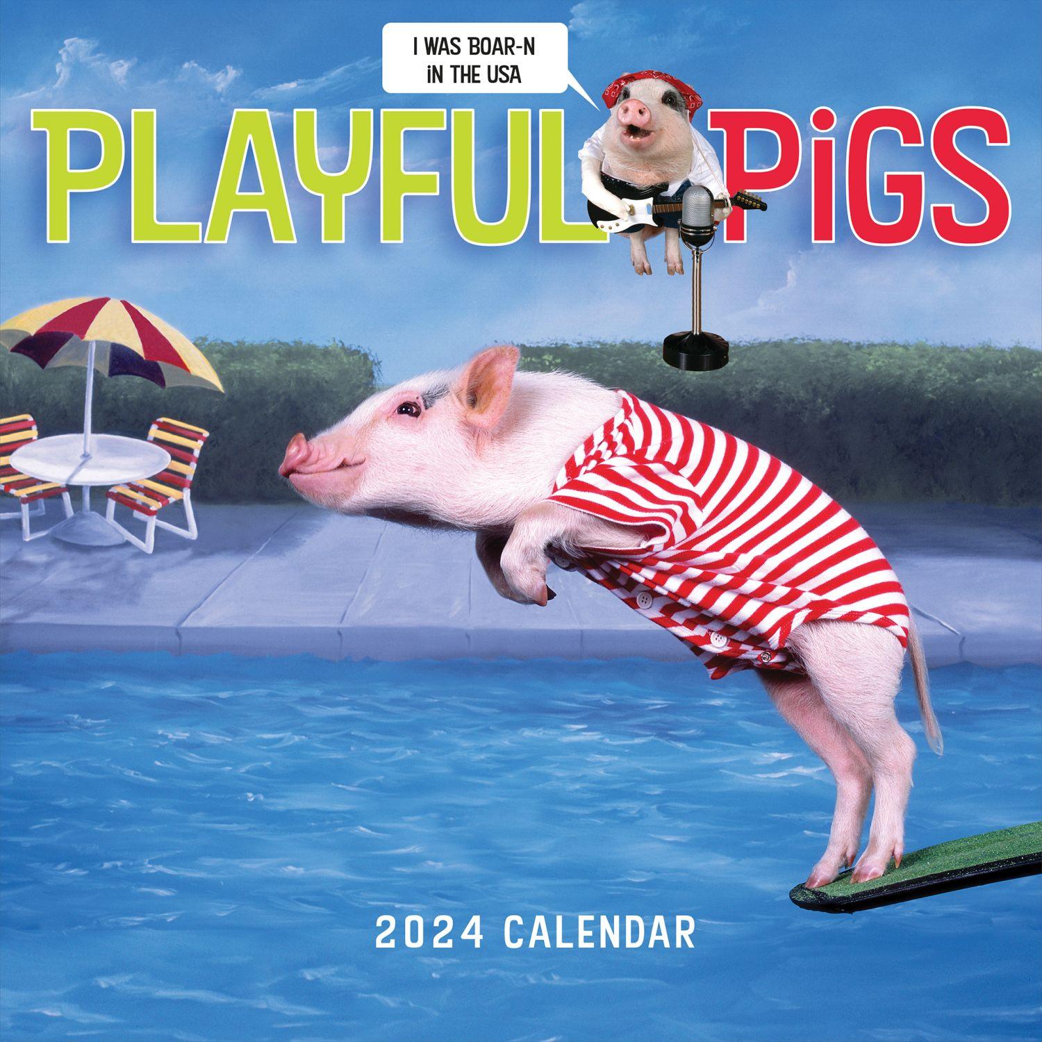 Playful Pigs 2024 Wall Calendar