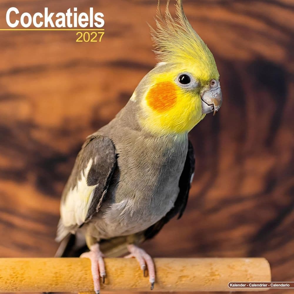 Cockatiels 2027 Wall Calendar