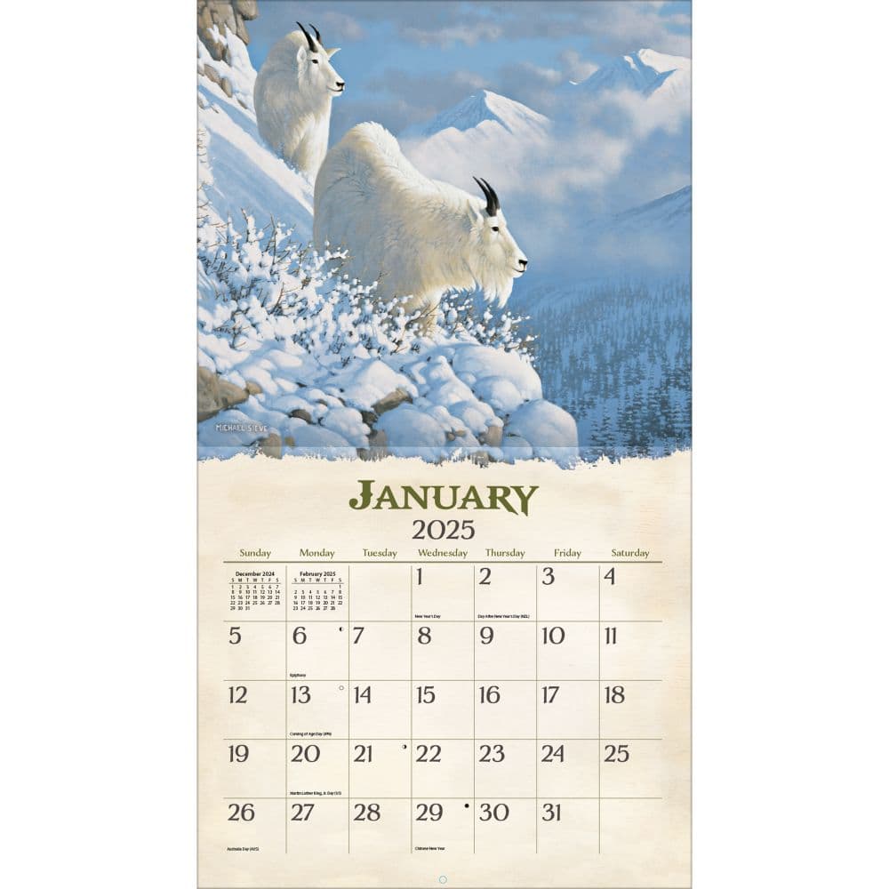 Beyond the Woods 2025 Wall Calendar by Michael Sieve