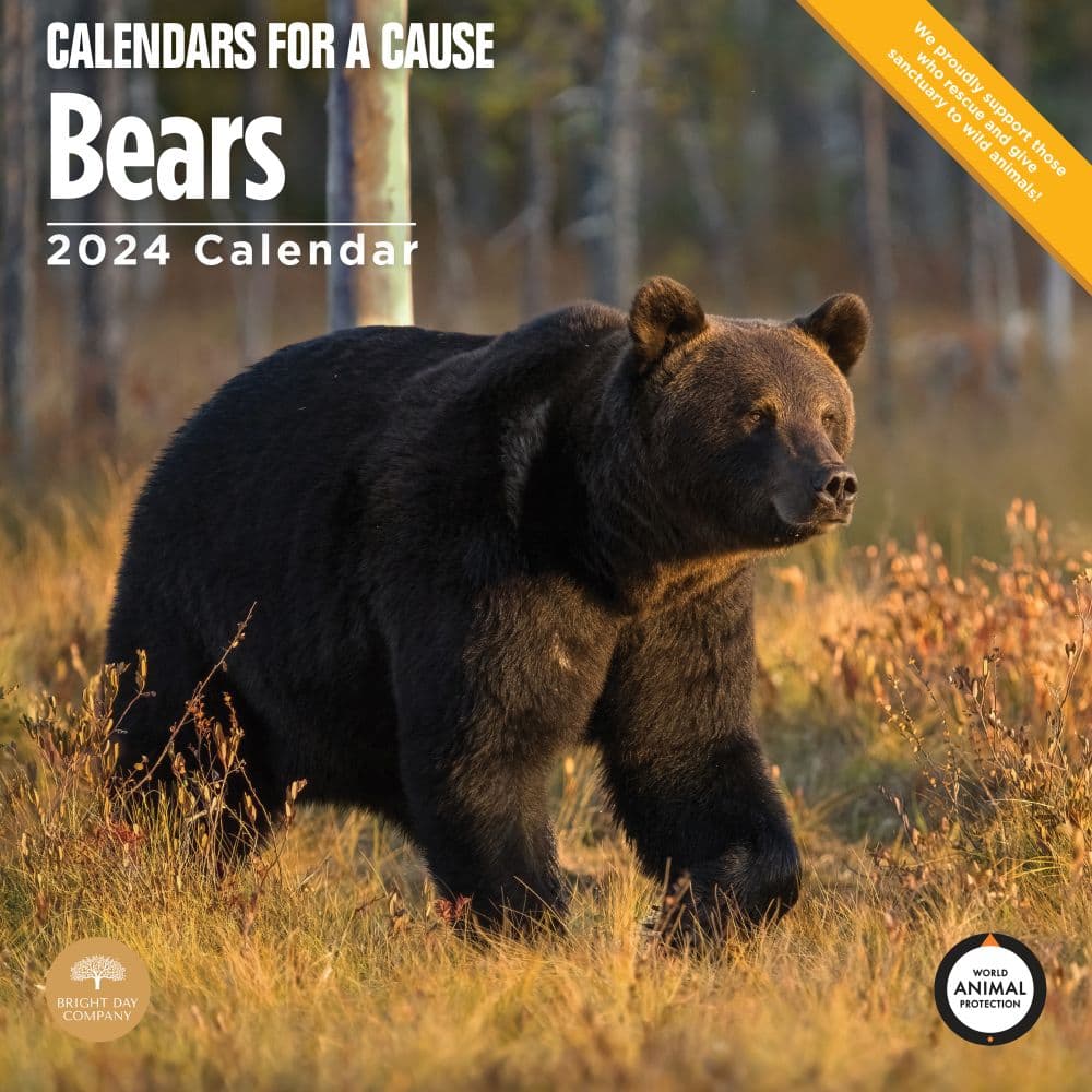 Bears 2024 Wall Calendar