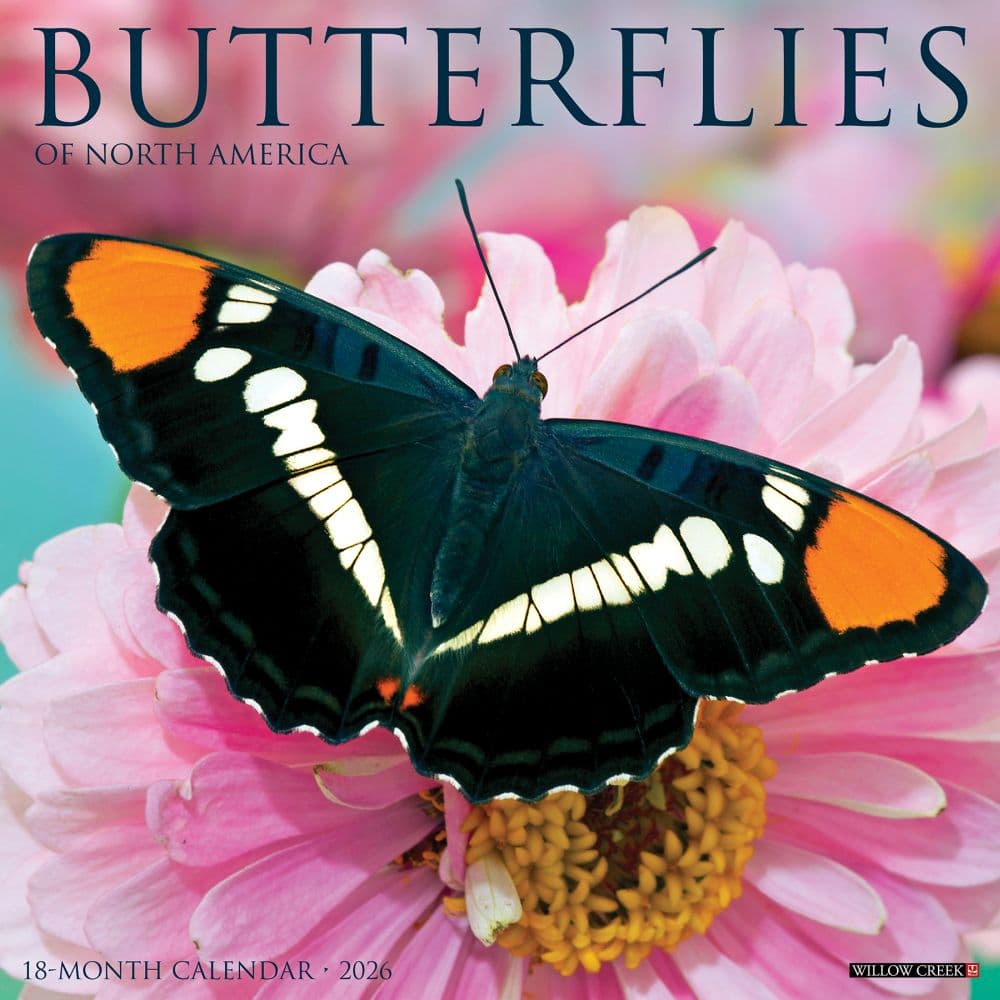 Butterflies 2026 Wall Calendar  Main Image