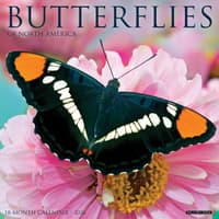 image Butterflies 2026 Wall Calendar  Main Image