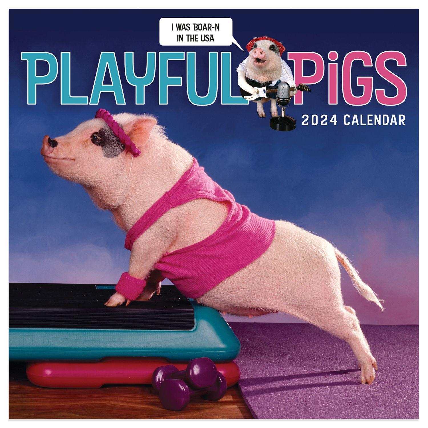Playful Pigs 2024 Mini Wall Calendar