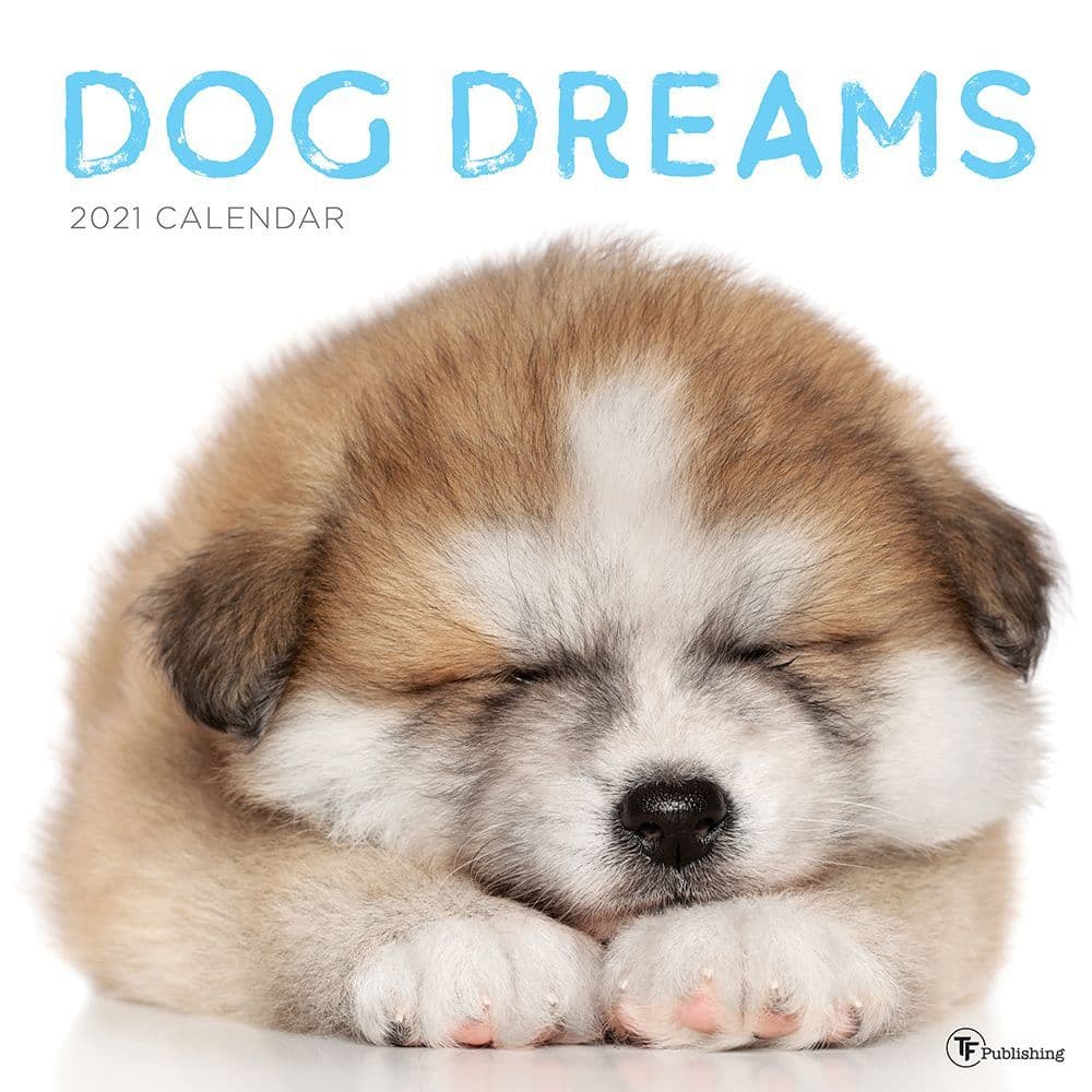 Dog Dreams Wall Calendar