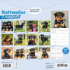 image Just Rottweiler Puppies 2026 Wall Calendar First Alternate Image