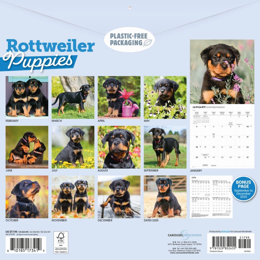Just Rottweiler Puppies 2026 Wall Calendar First Alternate Image