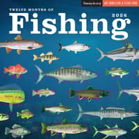 image Fishing Illustrations 2026 Wall Calendar Main Image